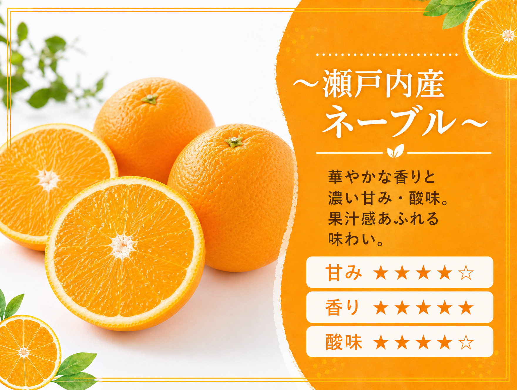 ネーブル　5本入り