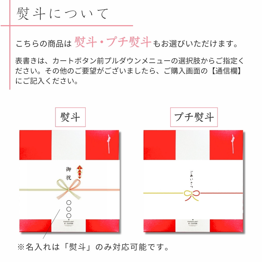 熨斗、プチ熨斗から選べます